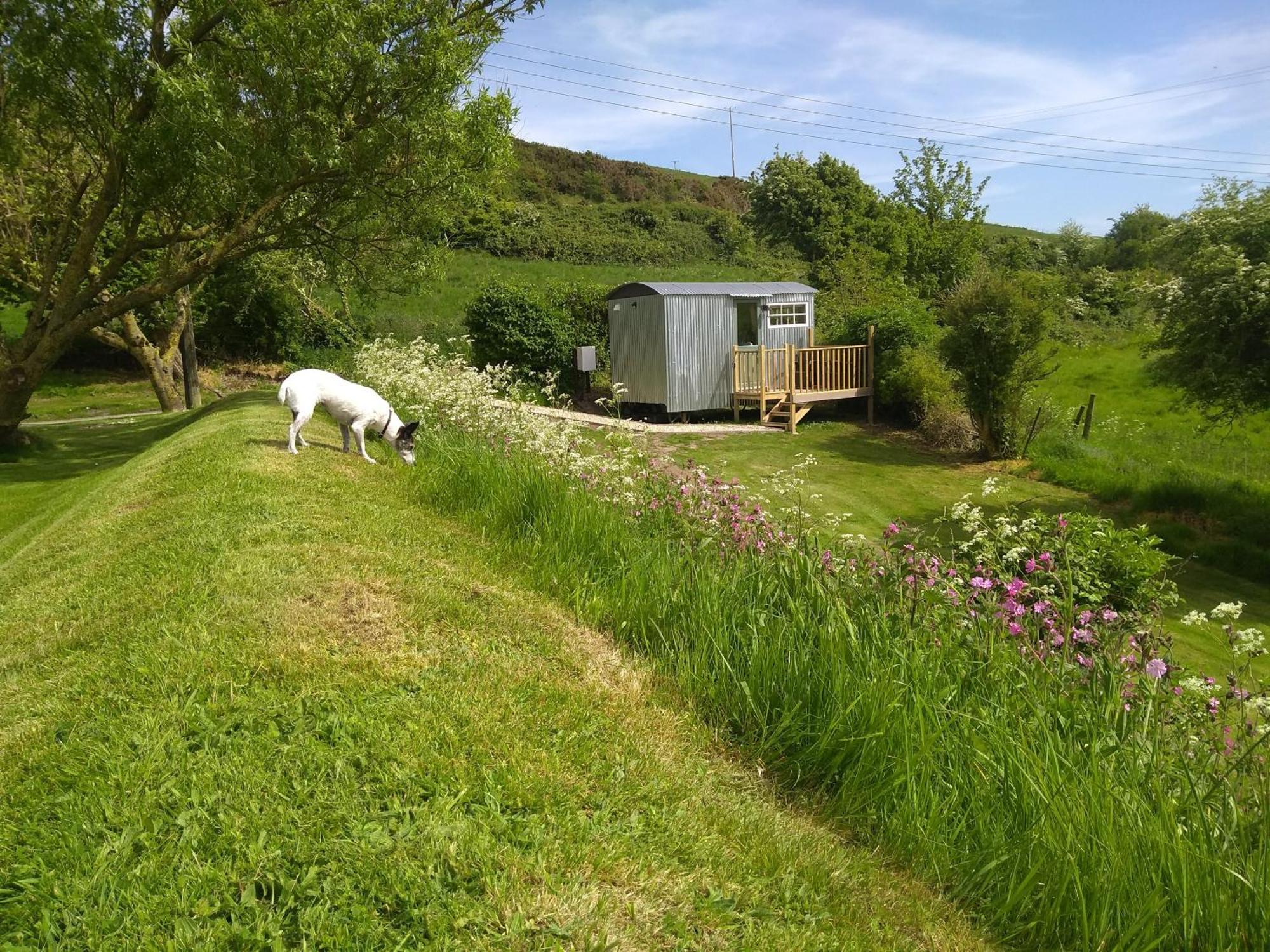 Shepherds Hut Weymouth Exteriör bild